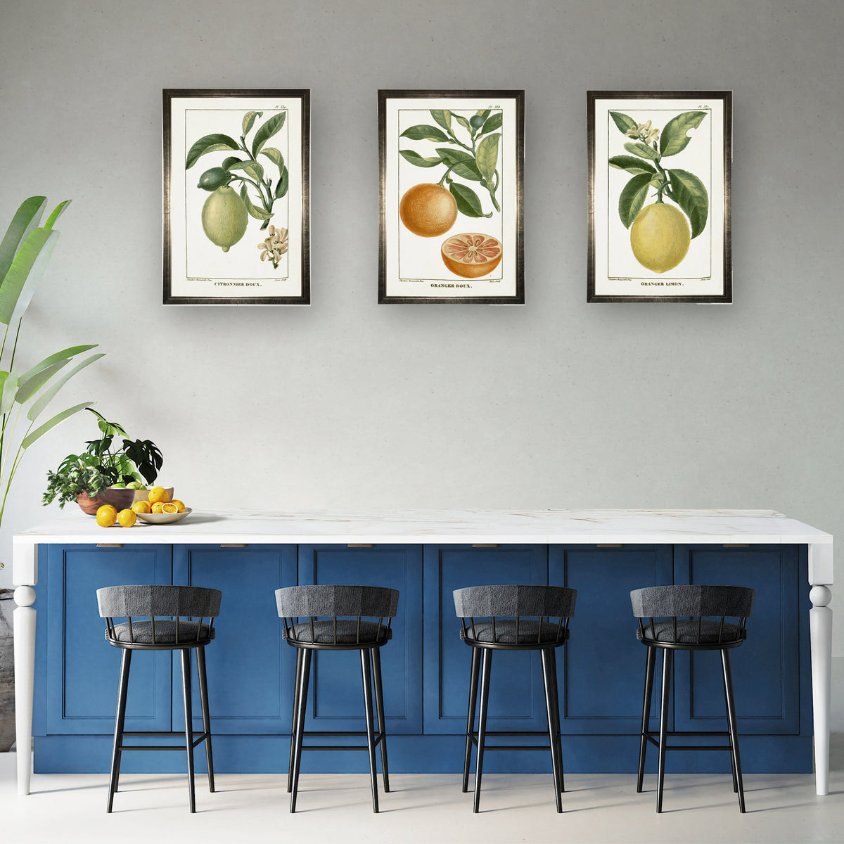 Orange Plant in Silver Frame - 24 x 16 inch