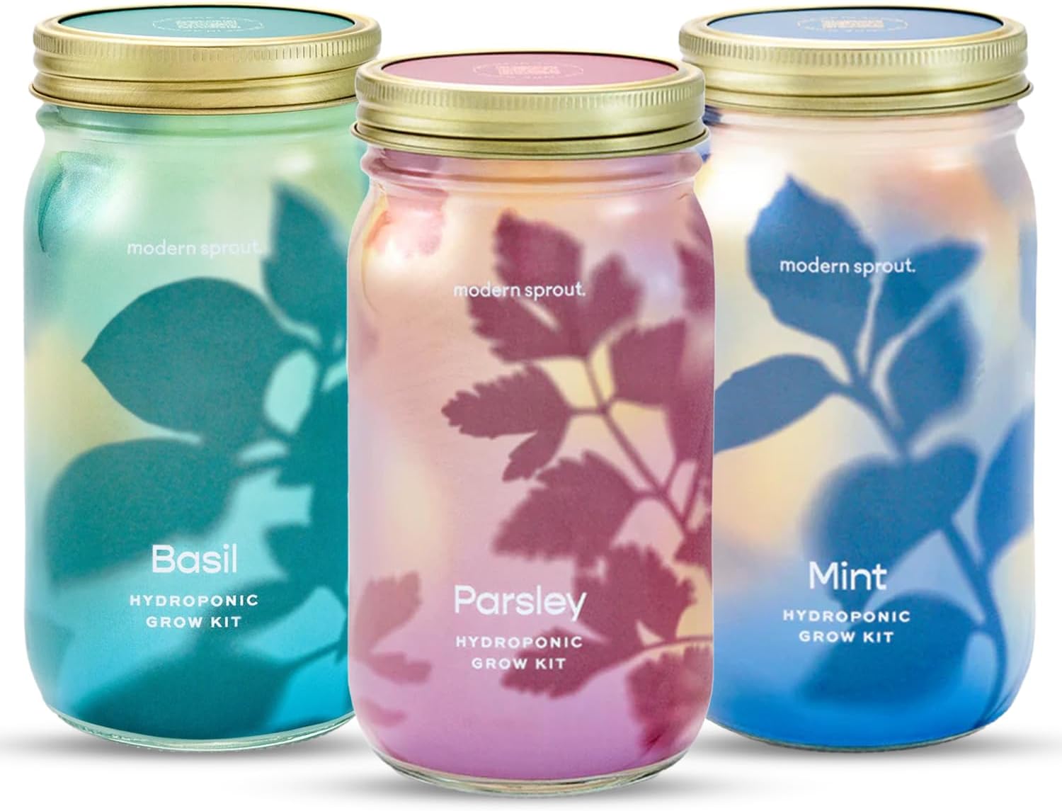 Organic Herb Jars