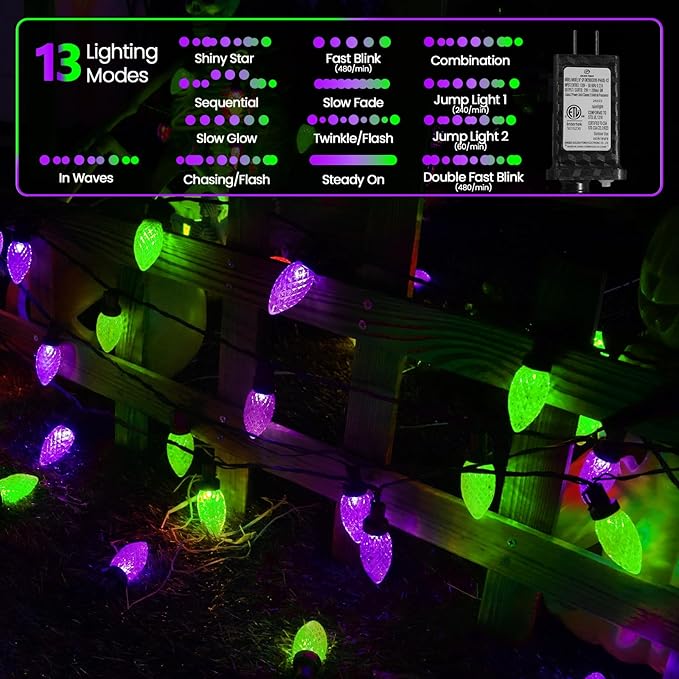 Purple and Green LED Indoor/Outdoor Halloween Lights