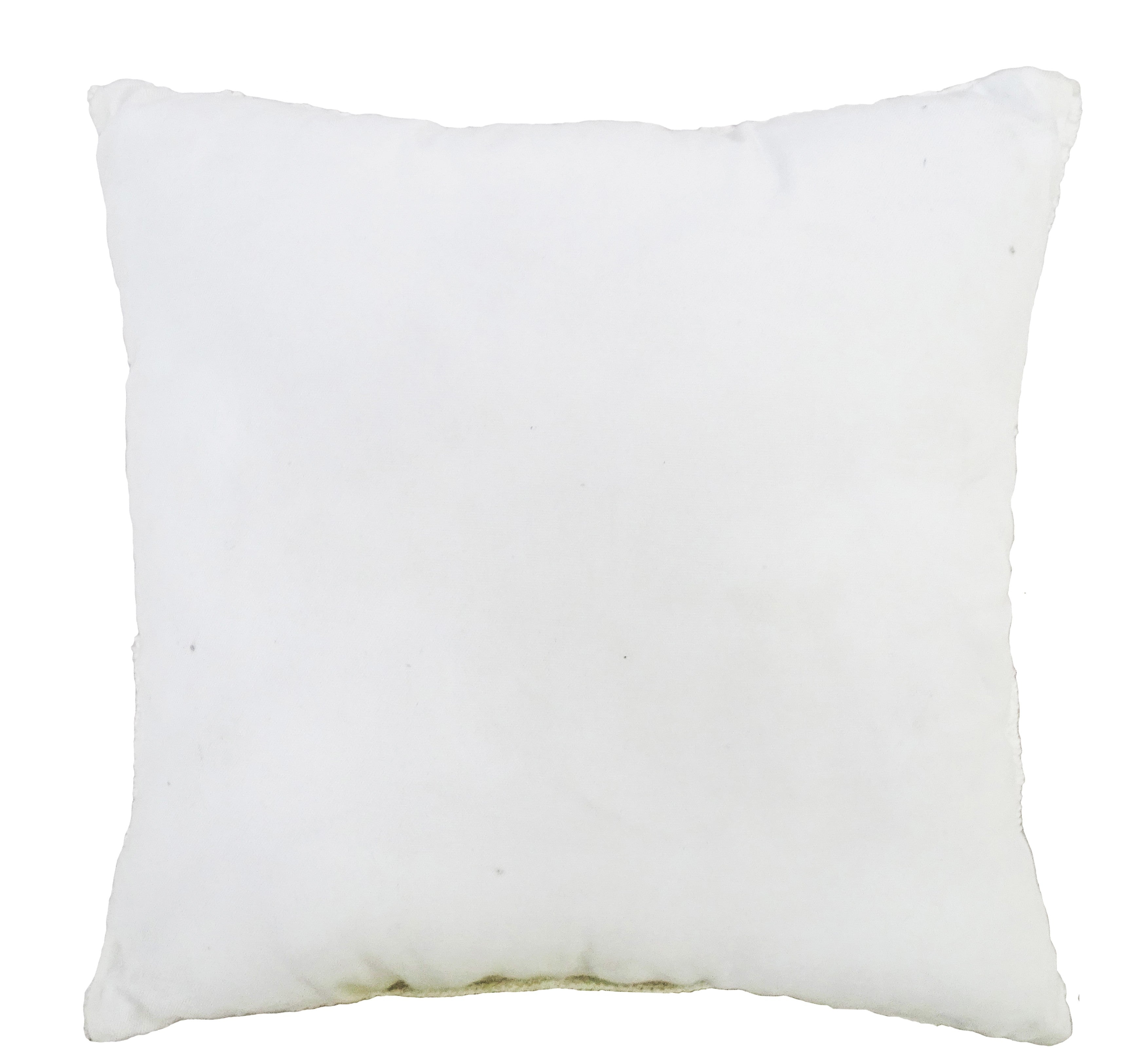 Starla Indoor/Outdoor Pillow - 18 x 18