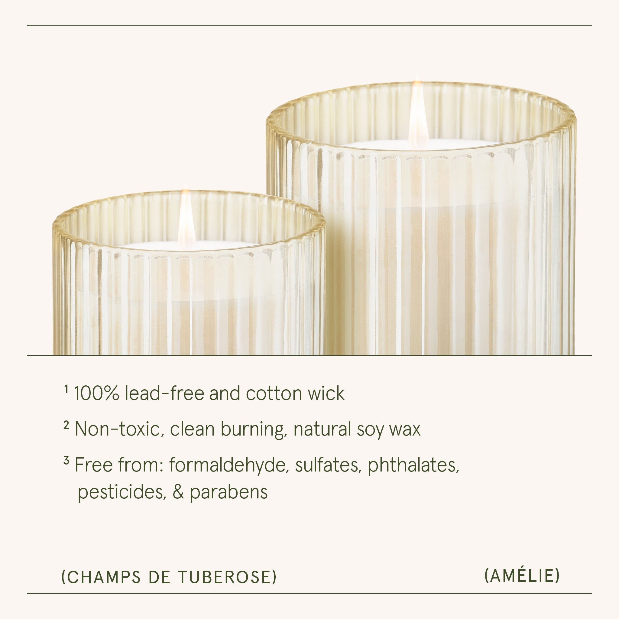 Amélie – Champs de Tuberose Candle