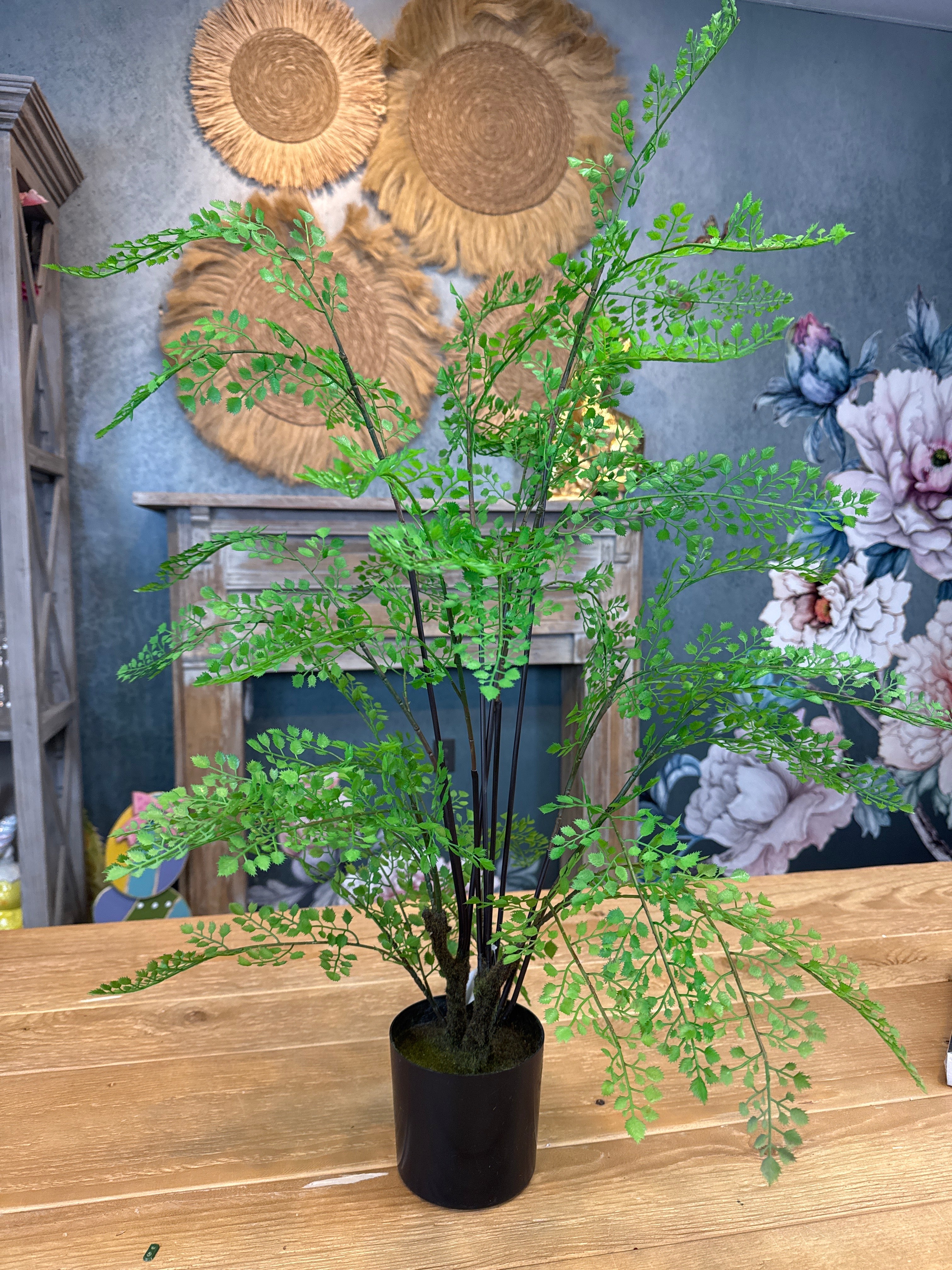 31" Potted Maiden Fern Plant