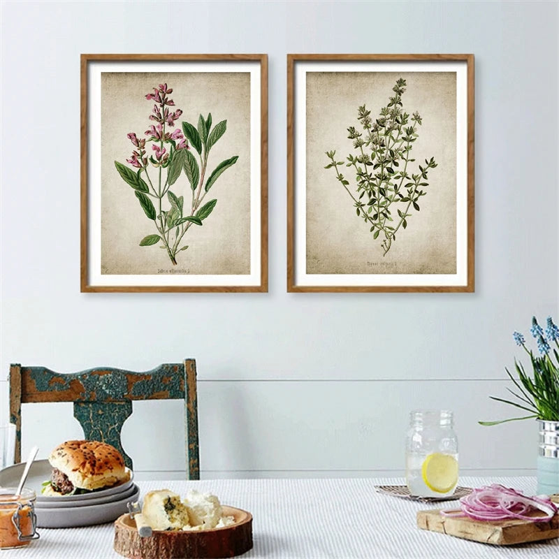 Vintage Herb Art Canvas Prints
