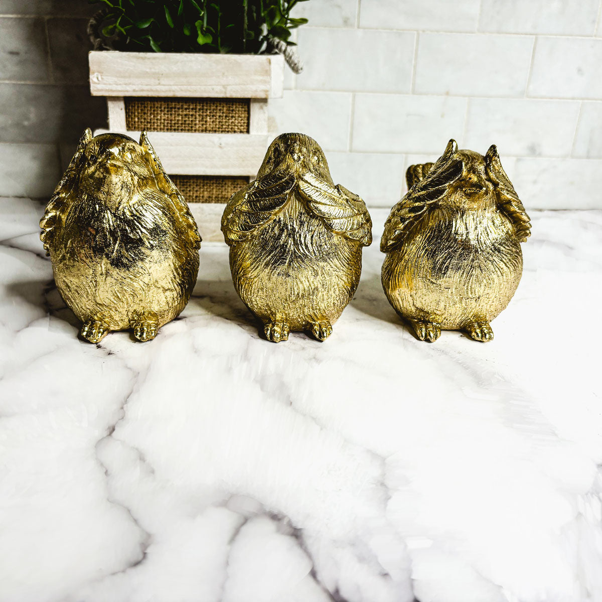 3 Wise Birds Figurines