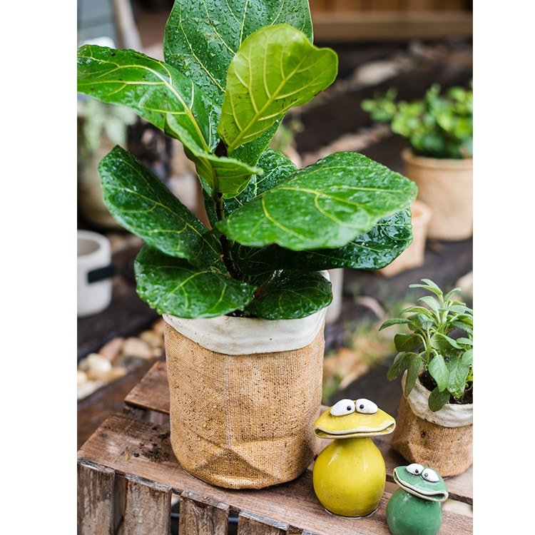 Paper Bag Style Concrete Garden Pots