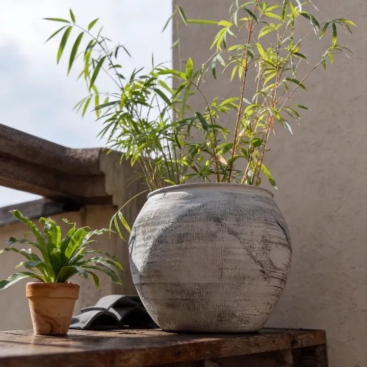 Sierra Round Clay Pot Planters