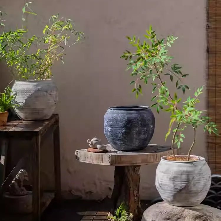 Sierra Round Clay Pot Planters