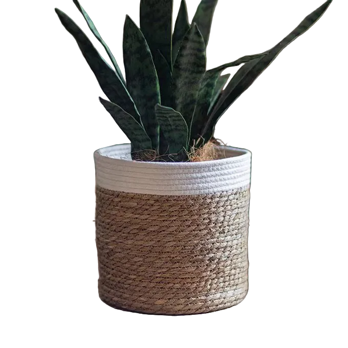 Woven Basket with Colored Rim