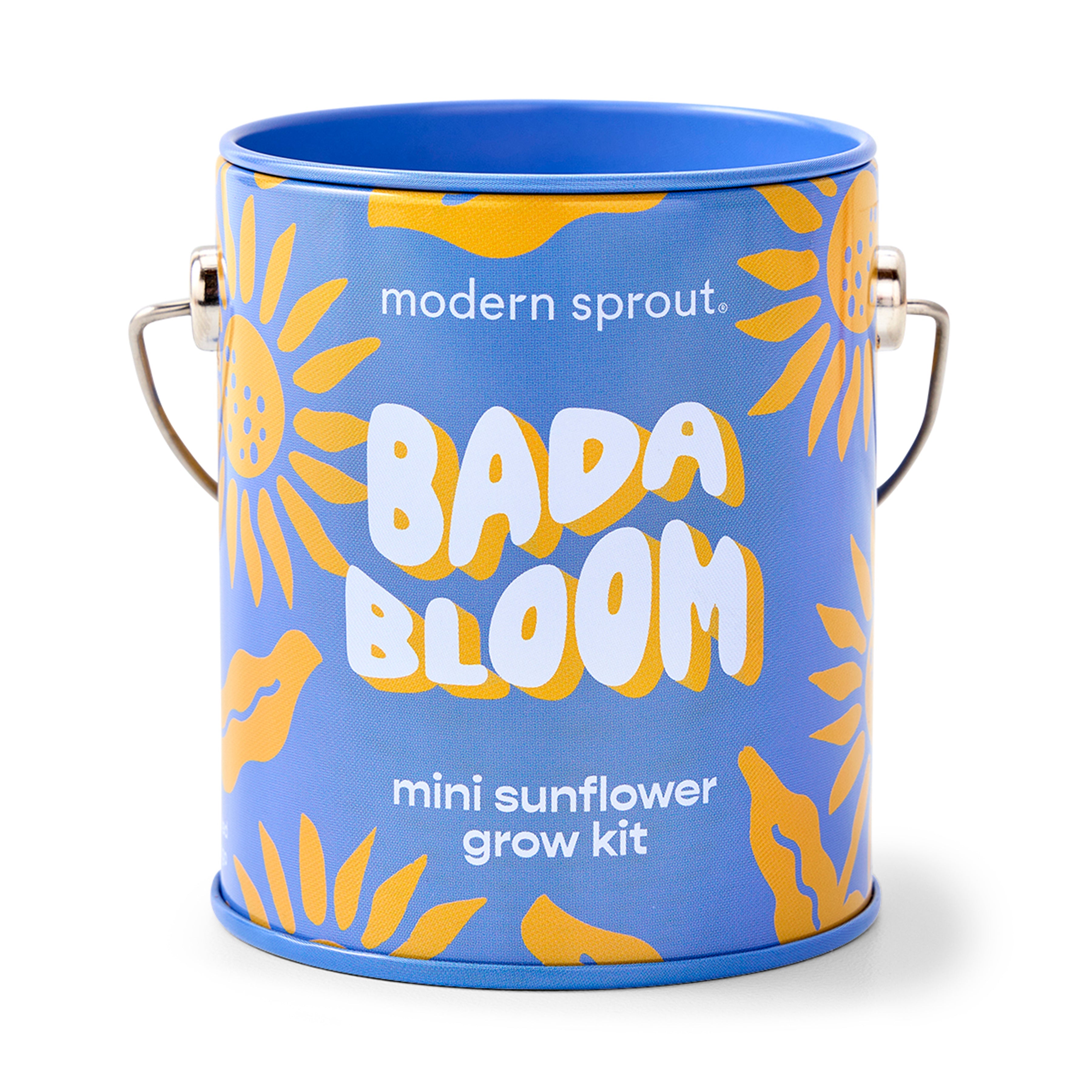 Playful Colors Grow Kits