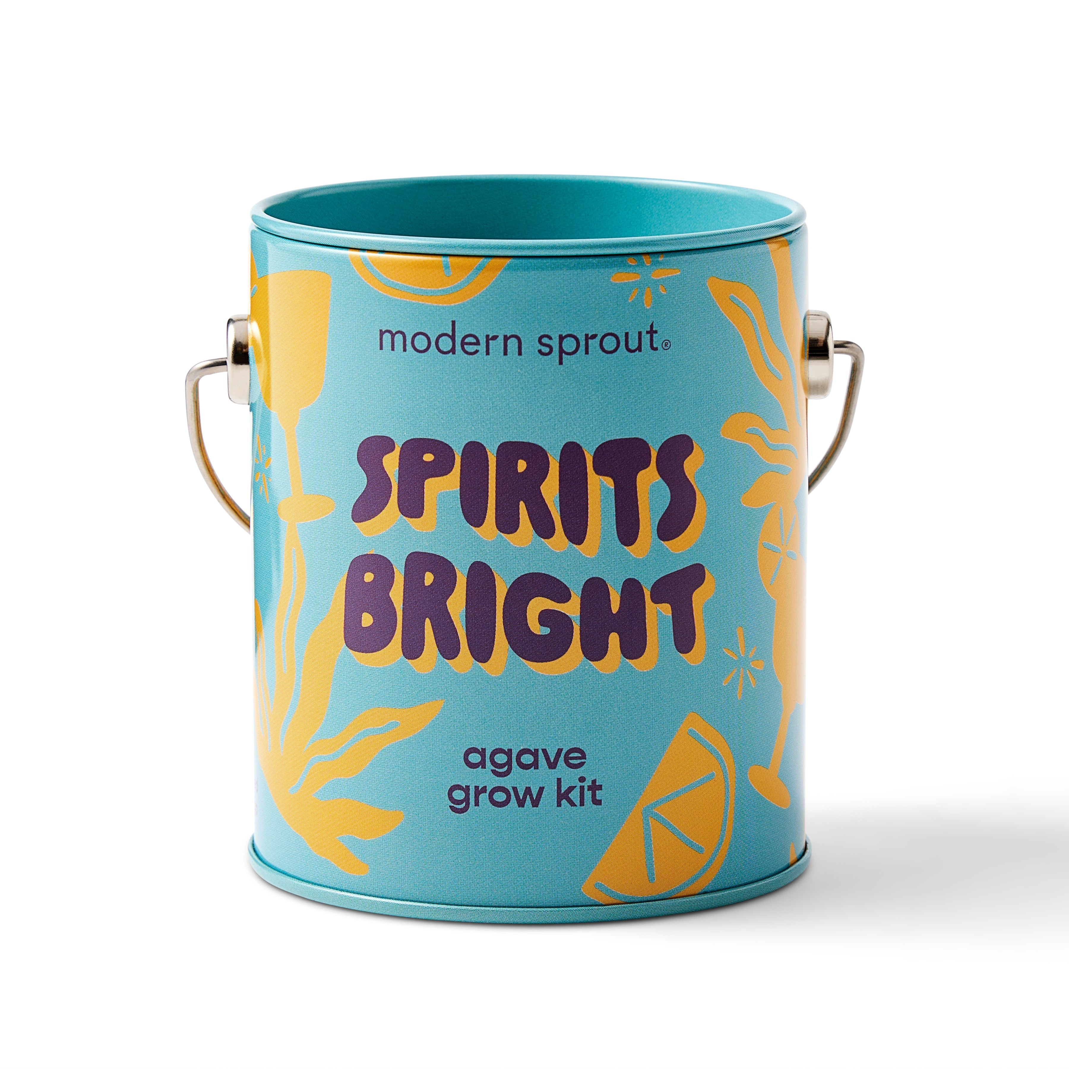 Playful Colors Grow Kits