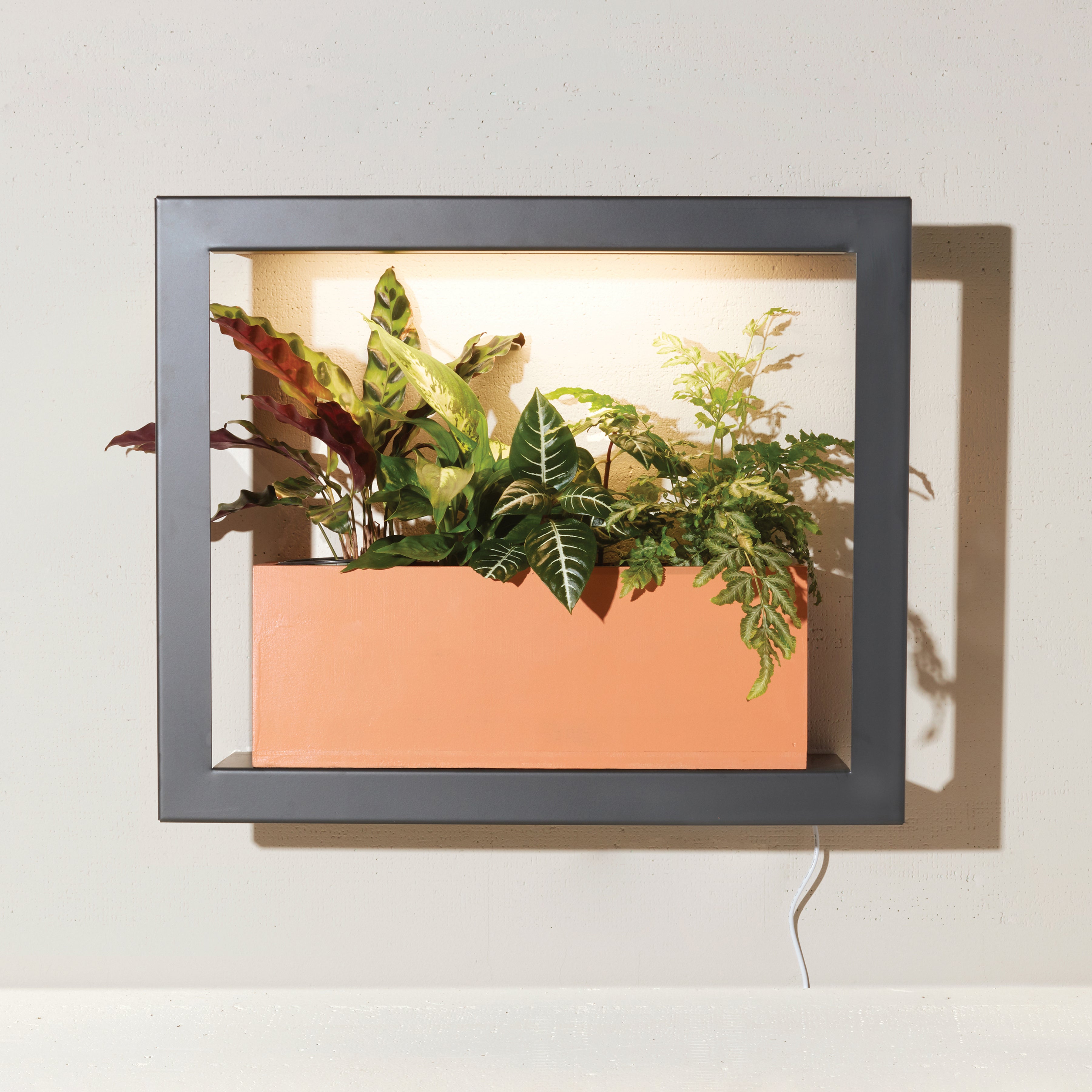 Smart Standard Growframe