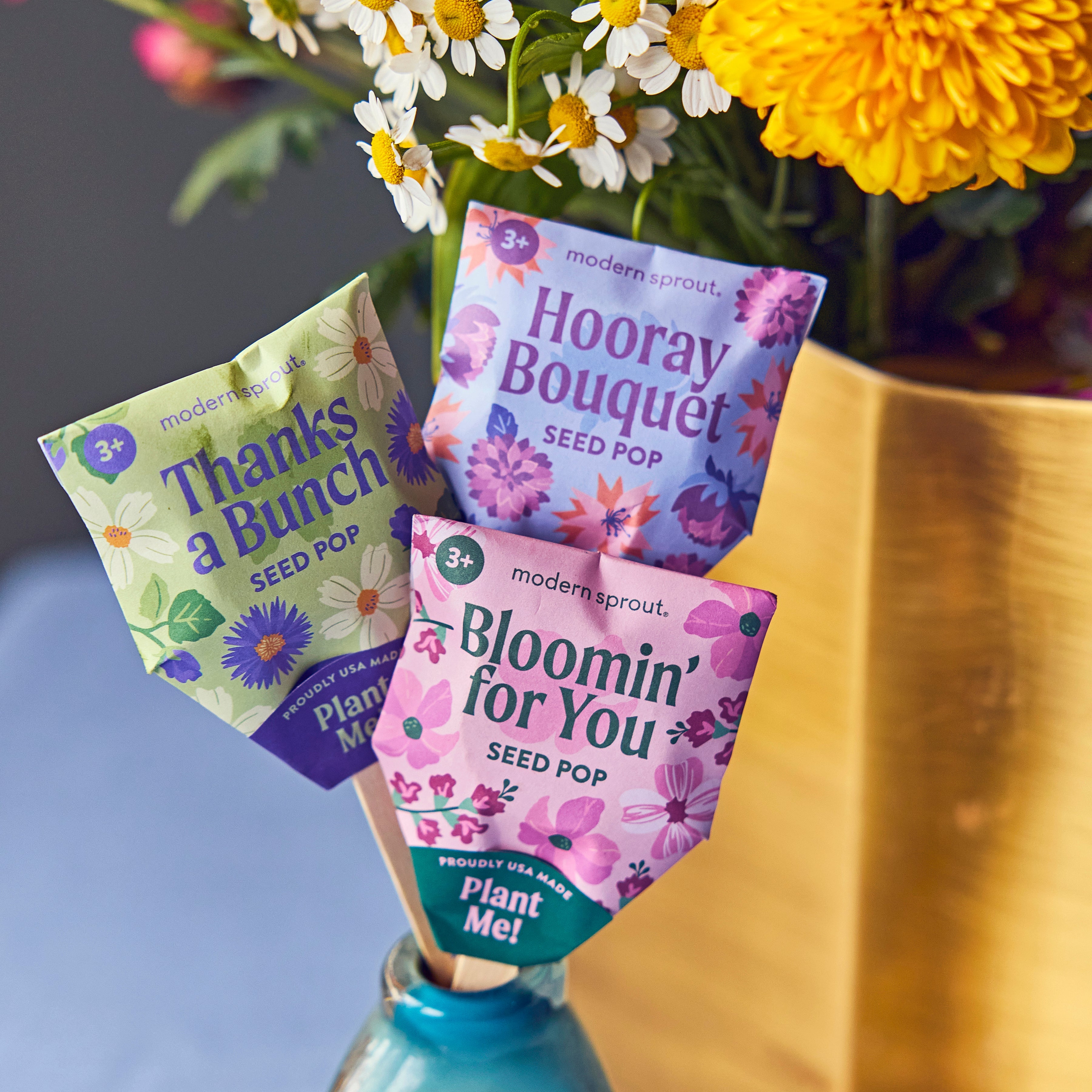 Seed Pops - Flowers