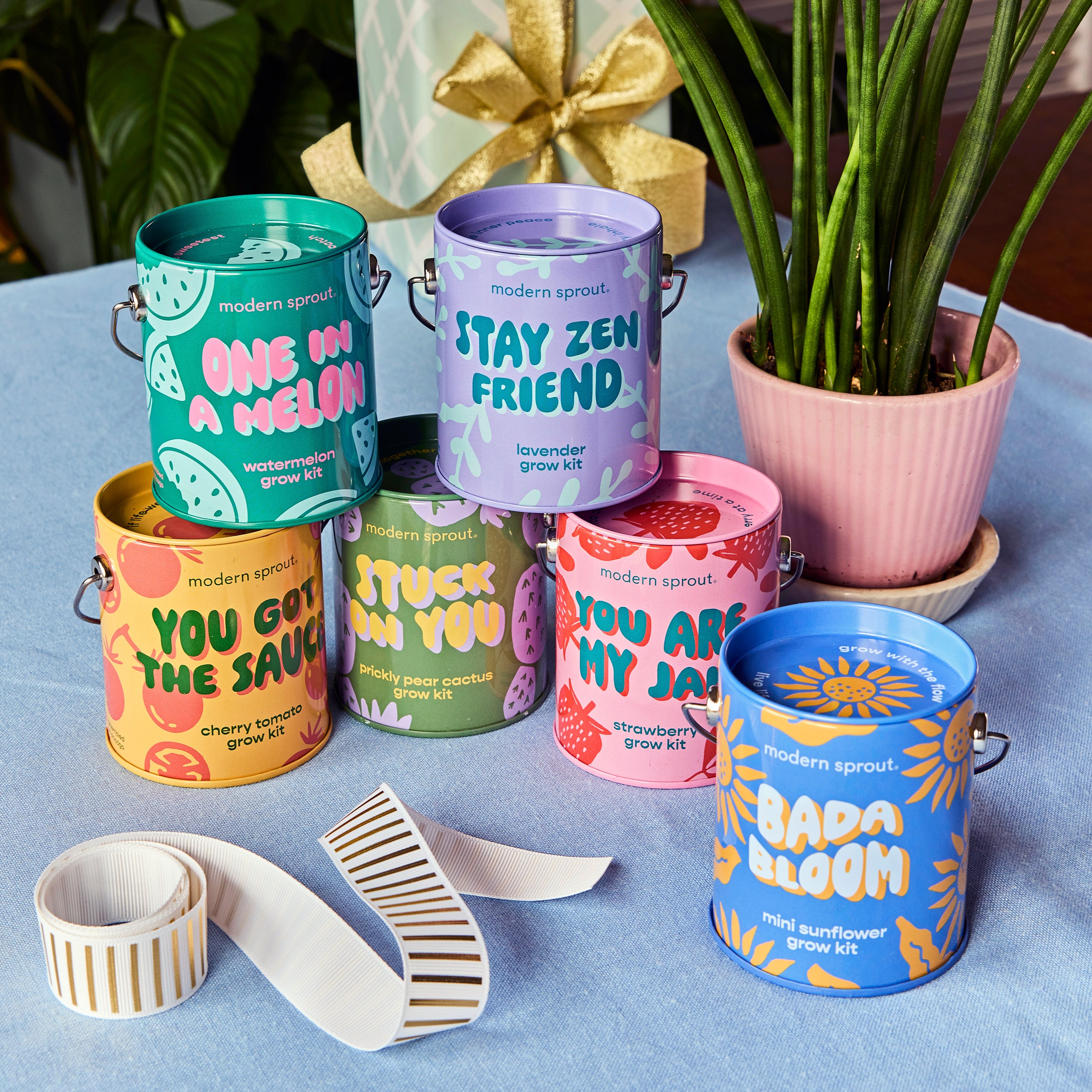 Playful Colors Grow Kits