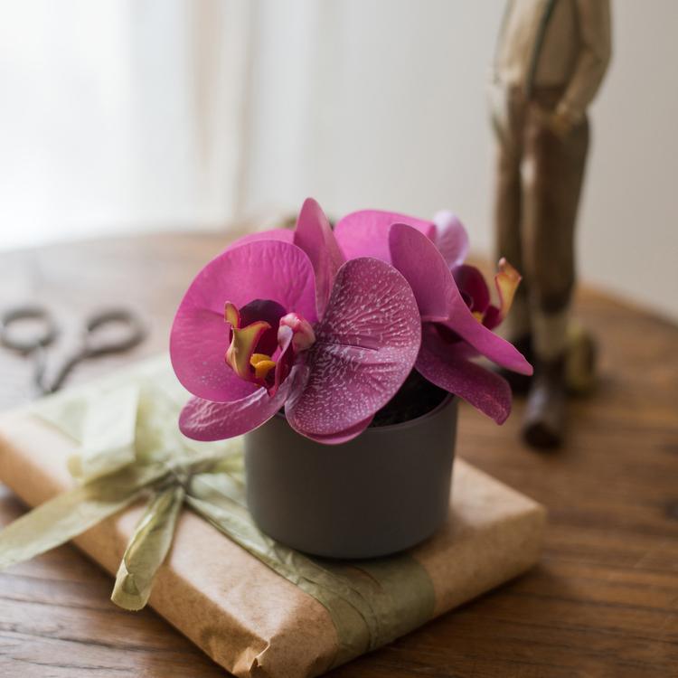 Potted Flower Mini - Real Touch Orchid in Purple