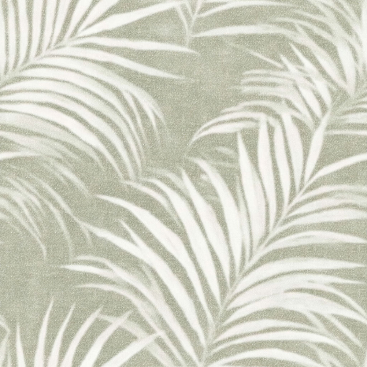 Kona Wallpaper