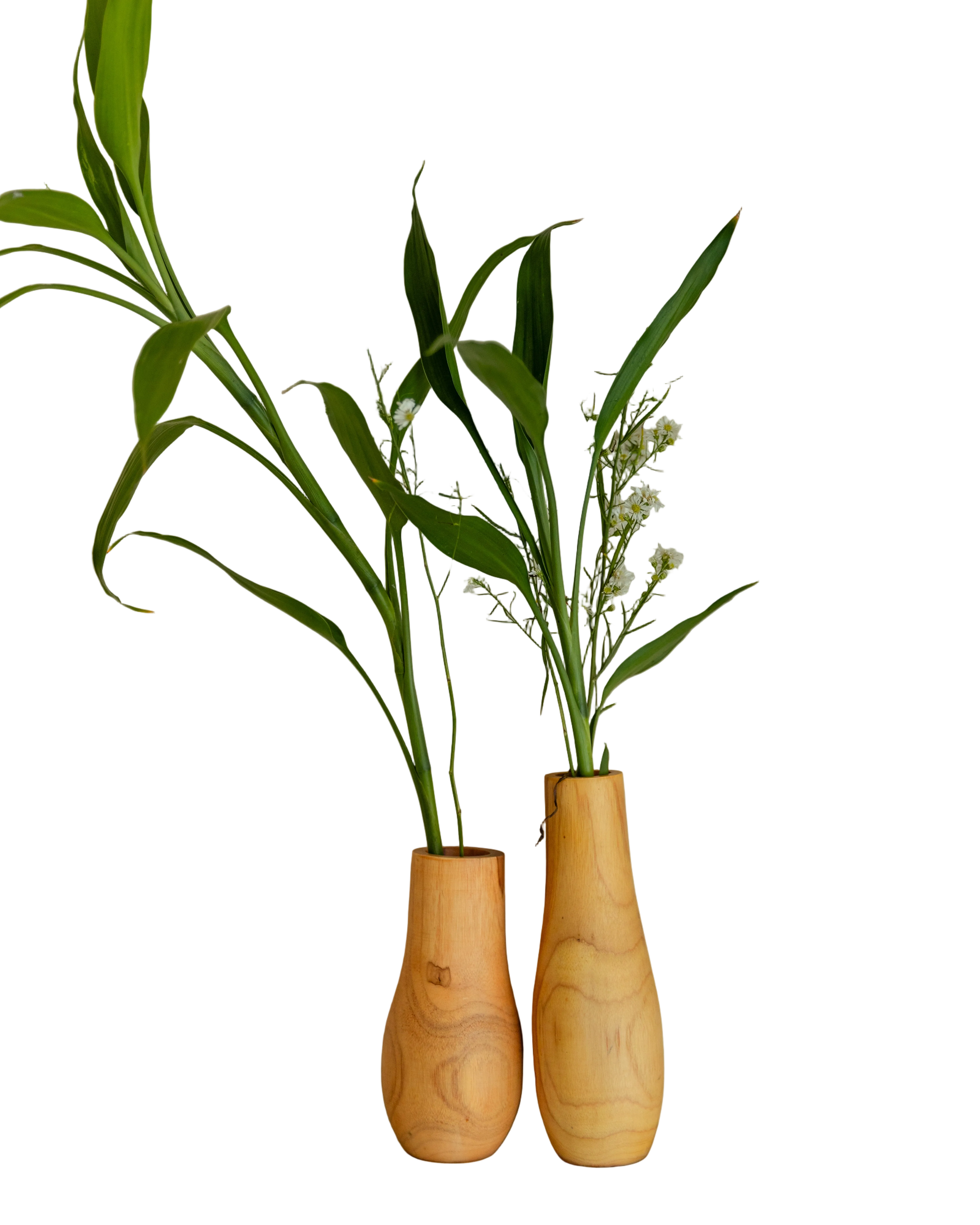 Teak Wavy Vases
