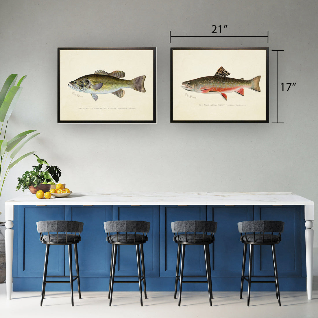 Male Brook Trout Print in Copper and Black Frame - 20 x 16 inch