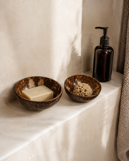 Set of 2 Coconut Catch-All