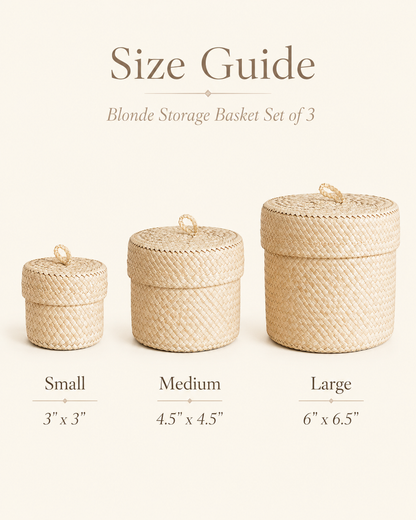 Handmade Blonde Pandanus Leaf Small Storage Baskets - Set of 3