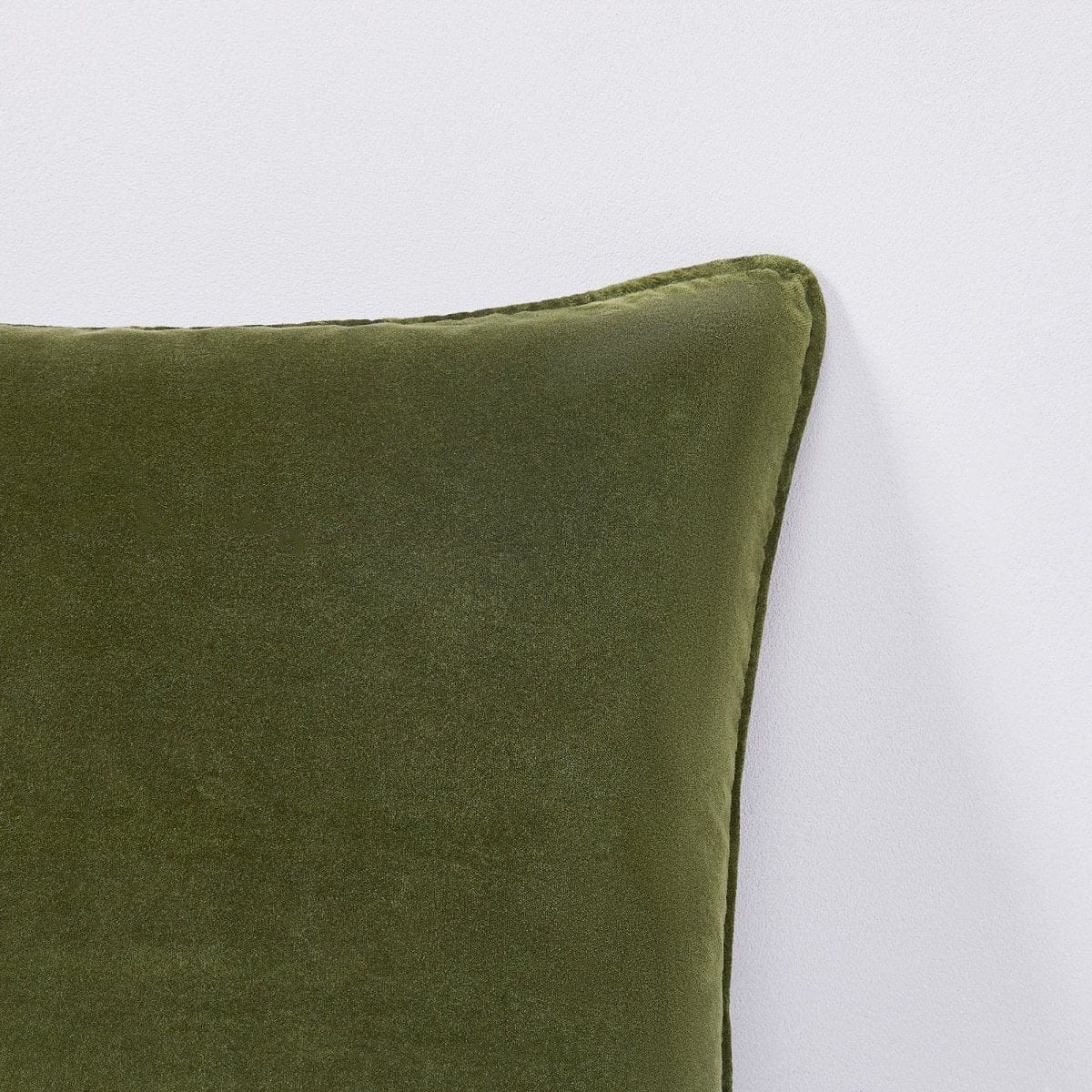 Terran Velvet Decorative Pillow Covers