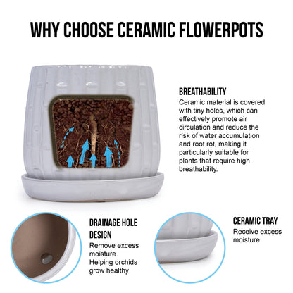 Set of 2 Patterned Ceramic Planters - White