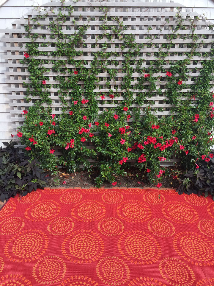 Molly Red/Orange Reversible Outdoor Mat