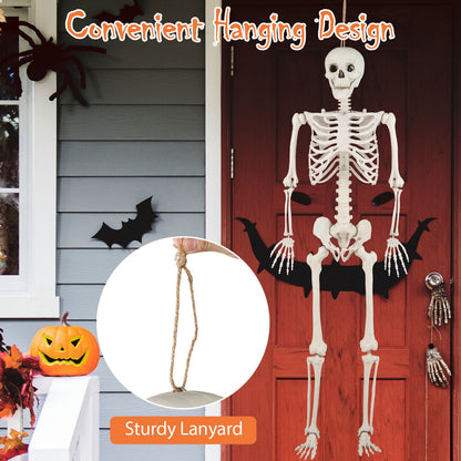 5.4 FT Life Size Posable Skeleton