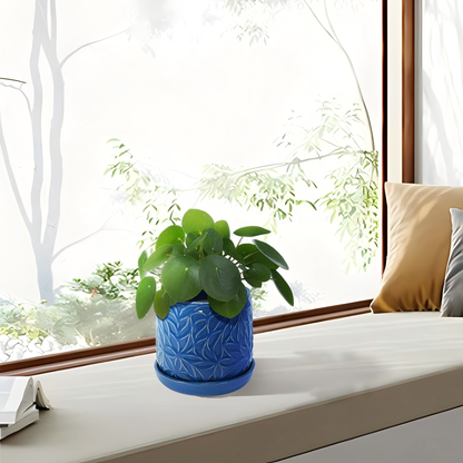 Set of 2 Embossed Ceramic Flowerpots - Blue