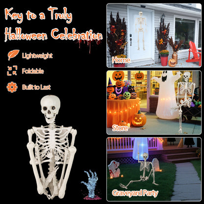 5.4 FT Life Size Posable Skeleton