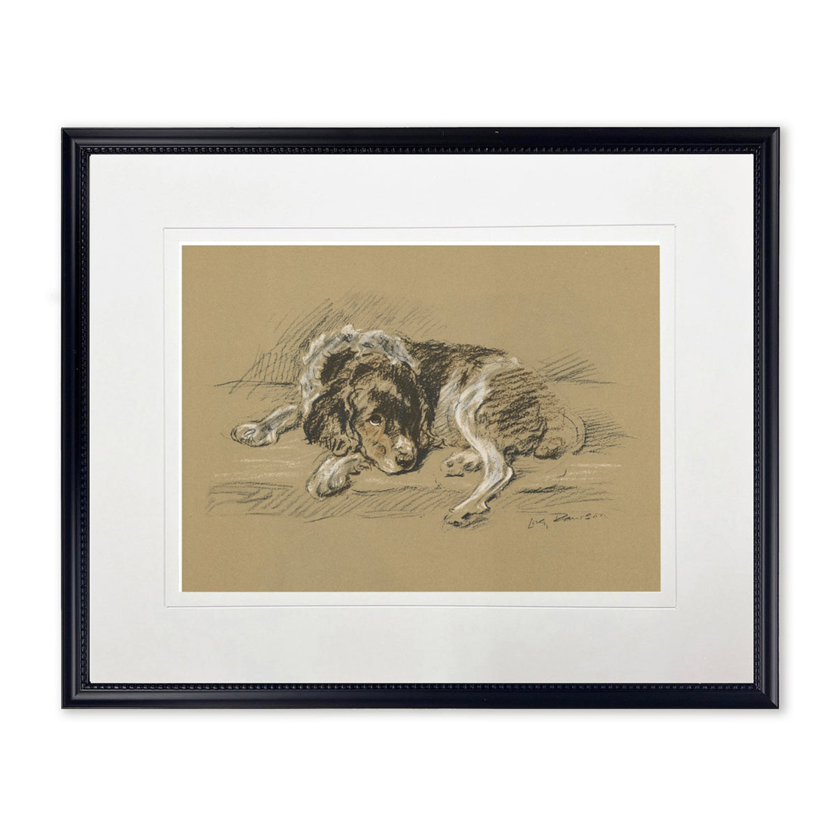 Sketched Dog Print in Black Frame 20 x 16 inch