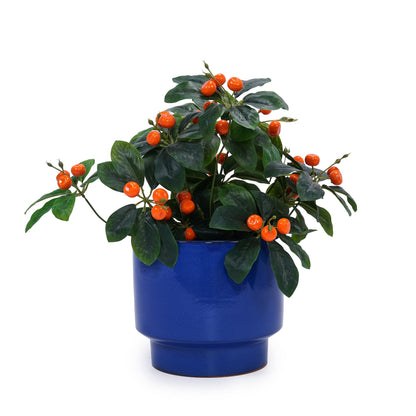 Set of 3 Ceramic Flower Pots - Blue