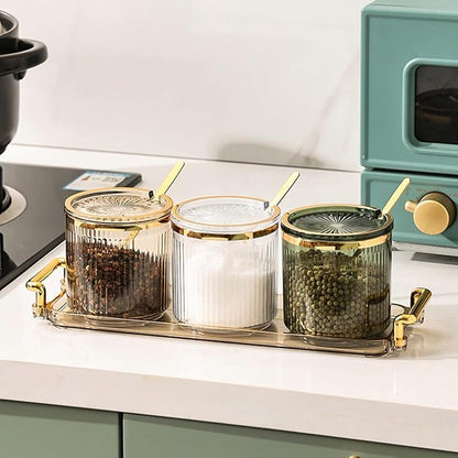 Acrylic Condiment Spice Jars with Lids, Spoons, Tray - Clear