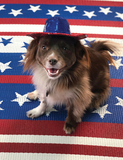 Stars and Stripes Outdoor Mat