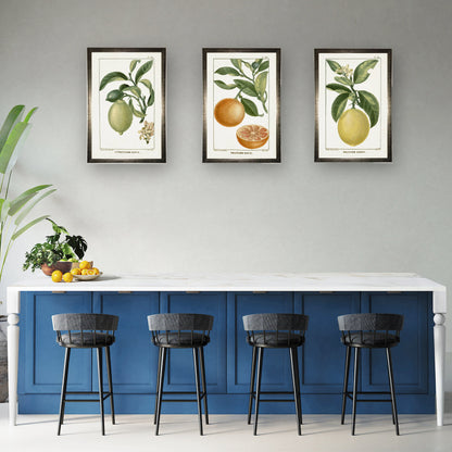 Orange Plant in Silver Frame - 24 x 16 inch