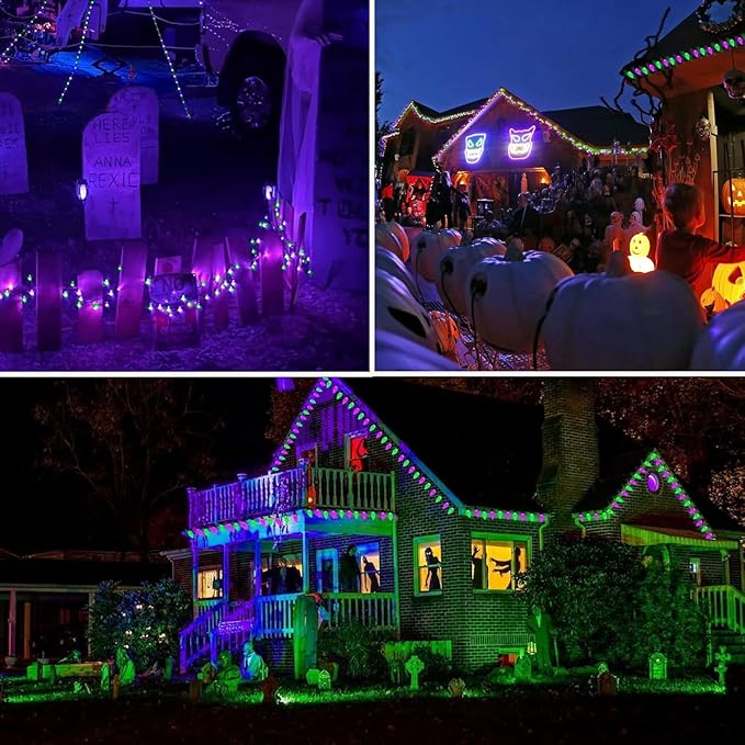 Purple and Green LED Indoor/Outdoor Halloween Lights