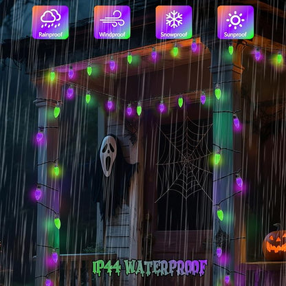 Purple and Green LED Indoor/Outdoor Halloween Lights