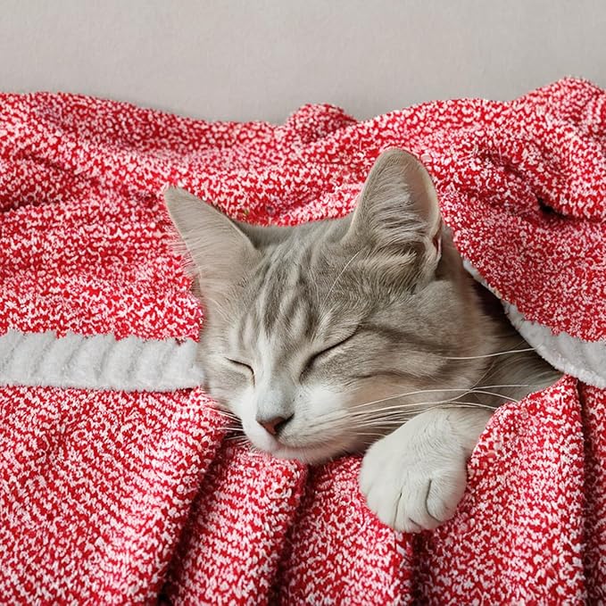 MIULEE Super Soft Throw Blanket in Red