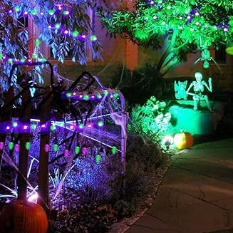 Purple and Green LED Indoor/Outdoor Halloween Lights