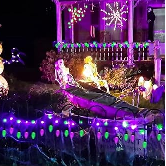Purple and Green LED Indoor/Outdoor Halloween Lights