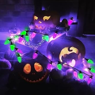 Purple and Green LED Indoor/Outdoor Halloween Lights