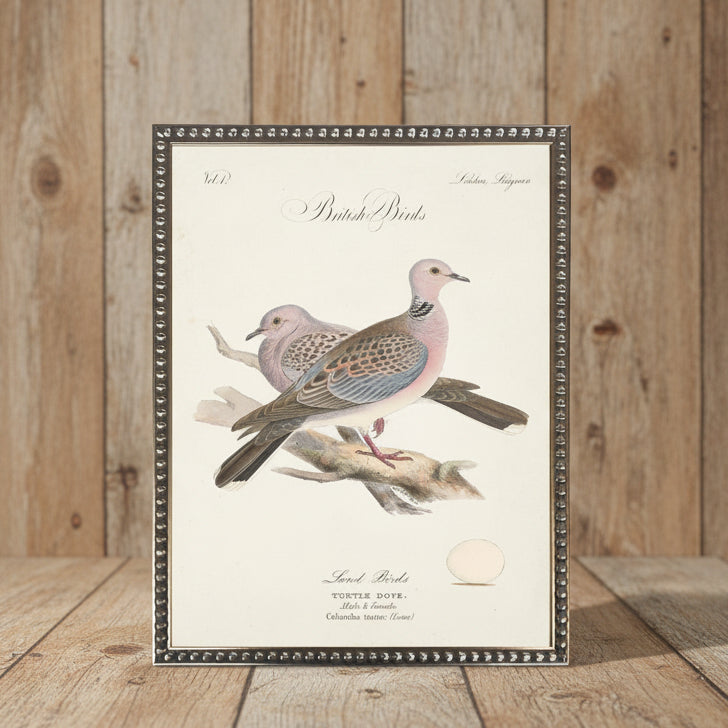 Turtle Doves in Silver-Beaded Frame - 24 x 18 inch