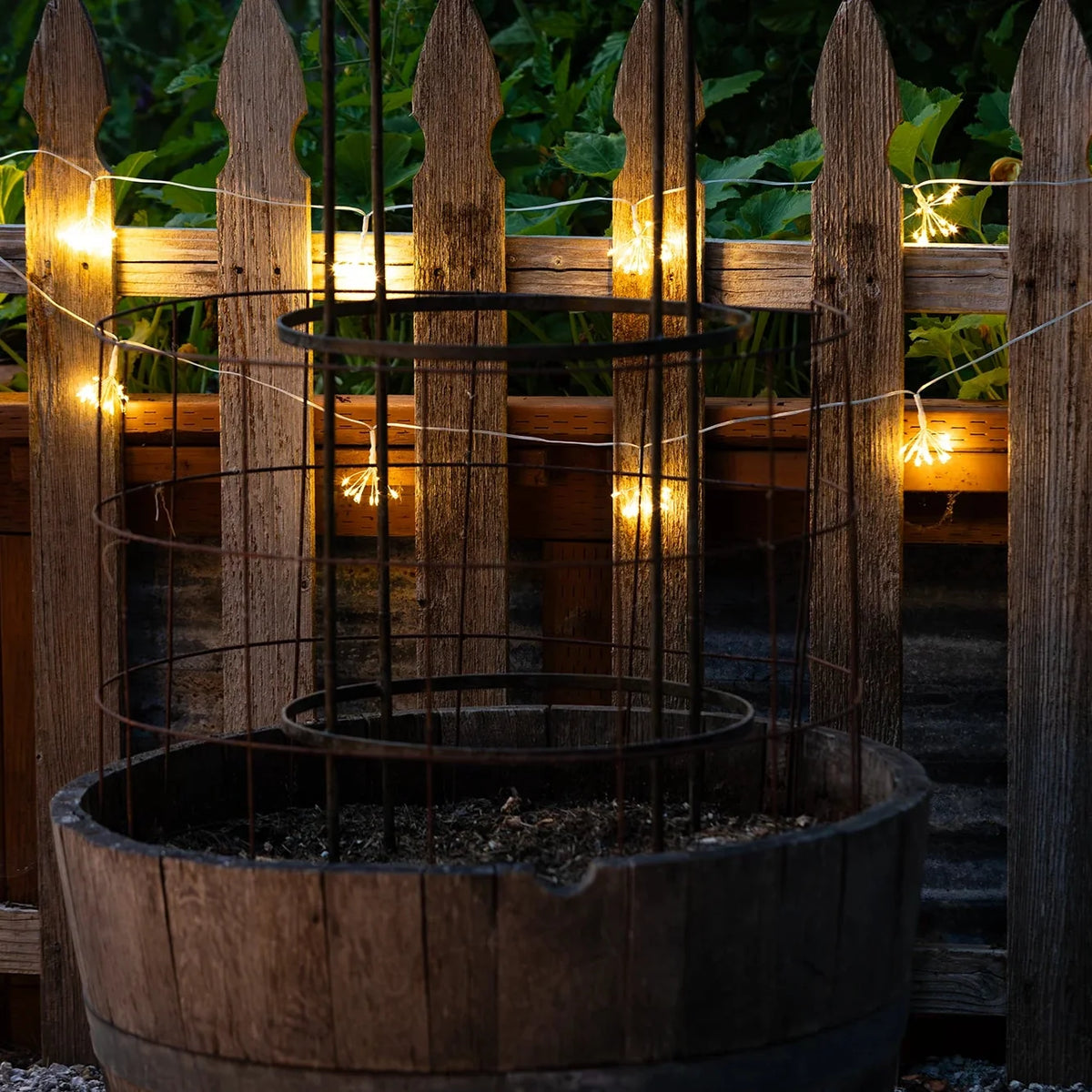 Starry Night String Lights - Plug In