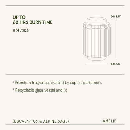Amélie –  Eucalyptus &amp; Alpine Sage Candle