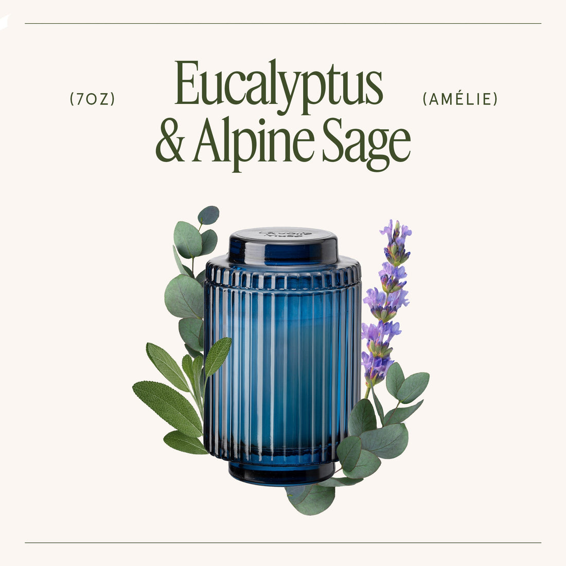 Amélie –  Eucalyptus &amp; Alpine Sage Candle