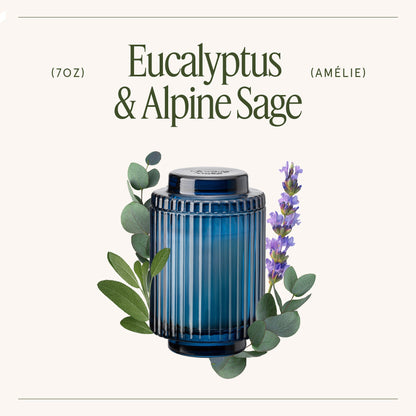 Amélie –  Eucalyptus &amp; Alpine Sage Candle