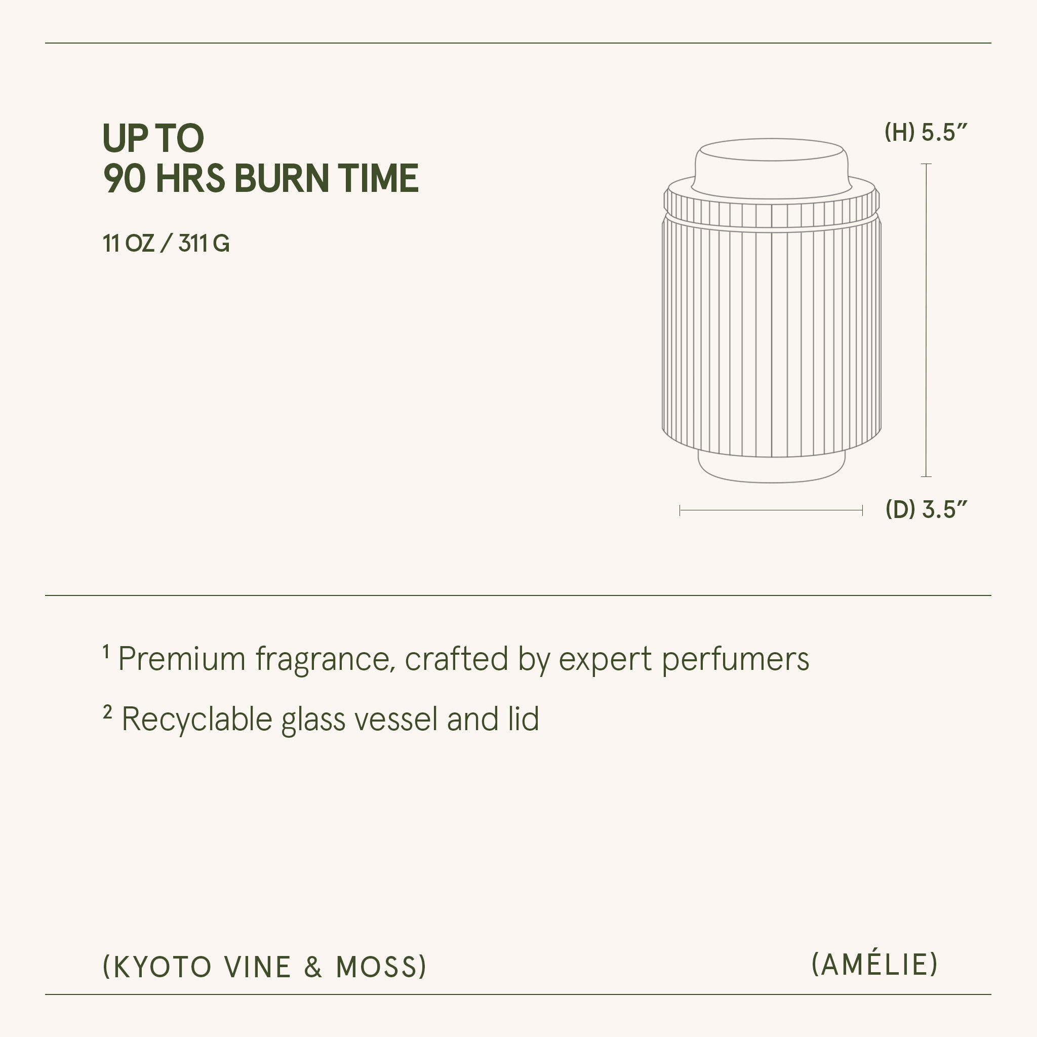 Amélie– Kyoto Vine &amp; Moss Candle