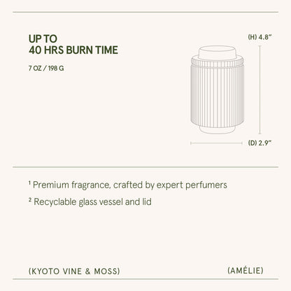 Amélie– Kyoto Vine &amp; Moss Candle