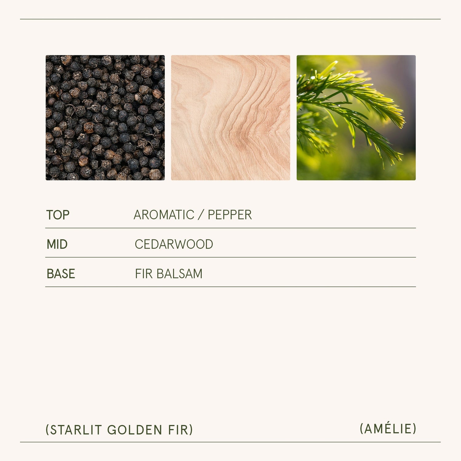 Amélie – Starlit Golden Fir 11oz Candle