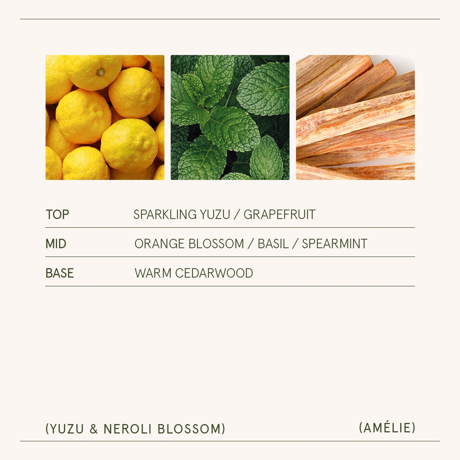Amélie – Yuzu &amp; Neroli Blossom Candle