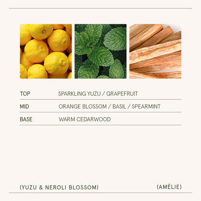 Amélie – Yuzu &amp; Neroli Blossom Candle